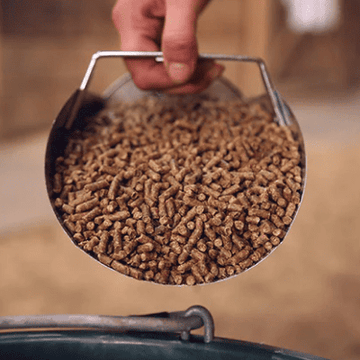 What Are the Main Components of Horse Feed?