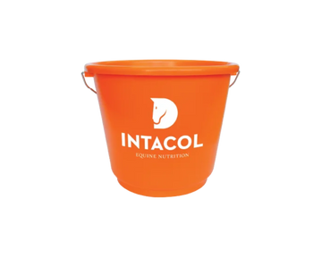 Bucket