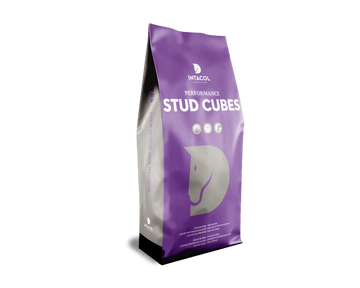 Stud Cubes Intacol