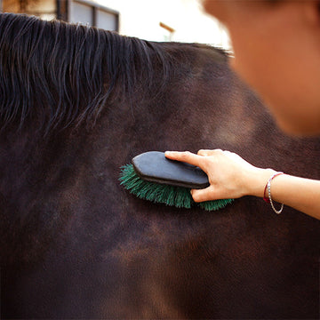 Care - Grooming Care