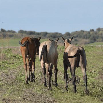 Specific Needs - Weaning