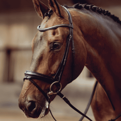 Specific Needs - Calming & Concentration