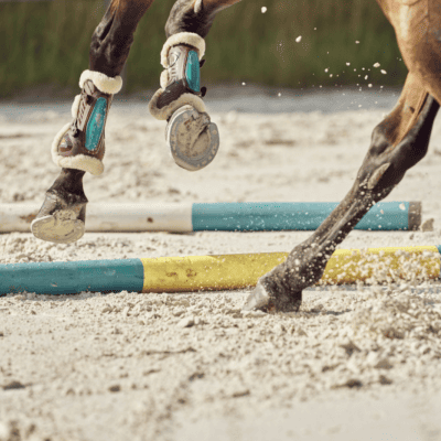 Health Problems - Osteoarthritis