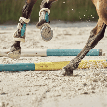 Health Problems - Osteoarthritis