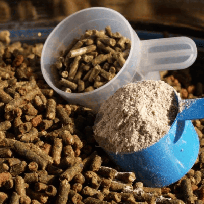 Supplements - Vitamins & Minerals