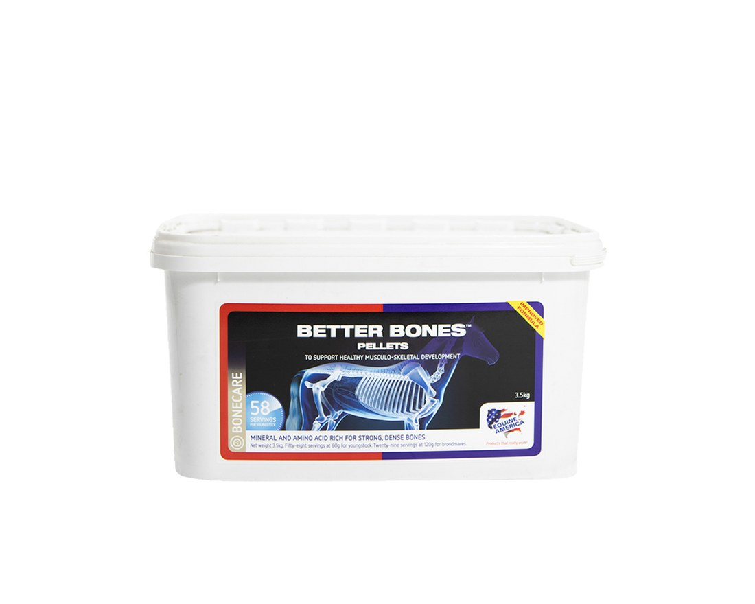 Better Bones Equine America