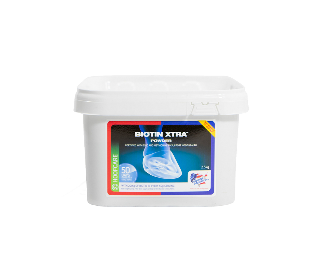 Biotin Xtra Equine America