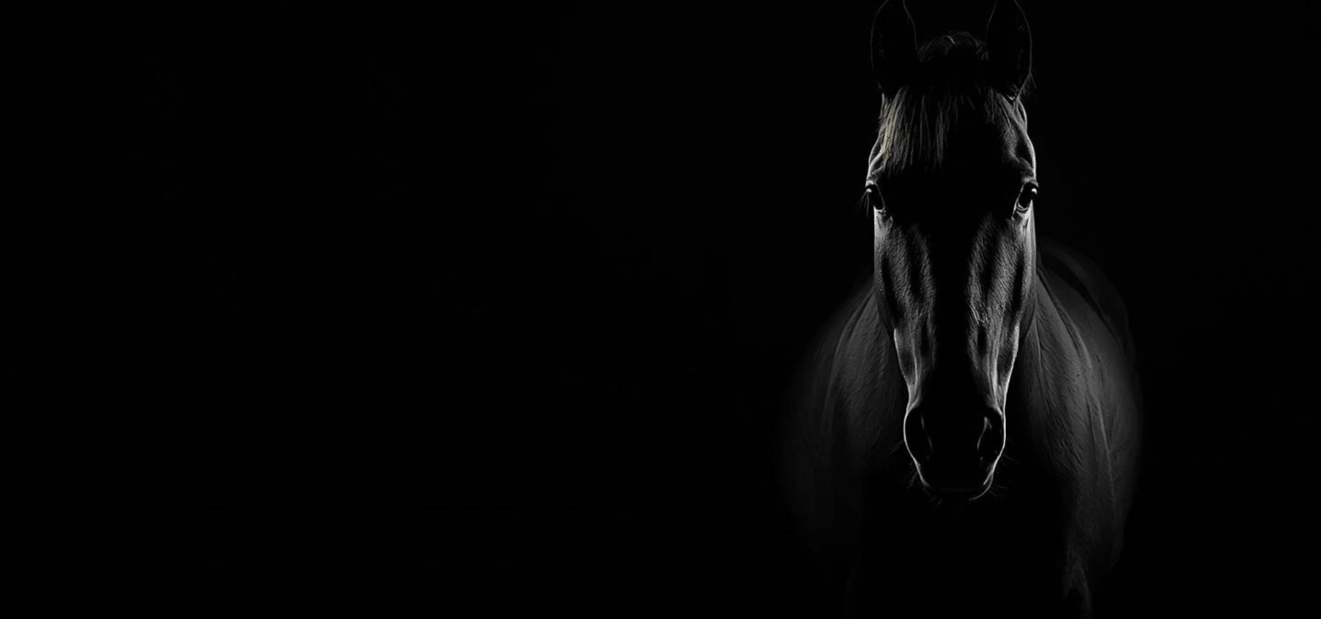 slider image slider_item_PWk3Bk