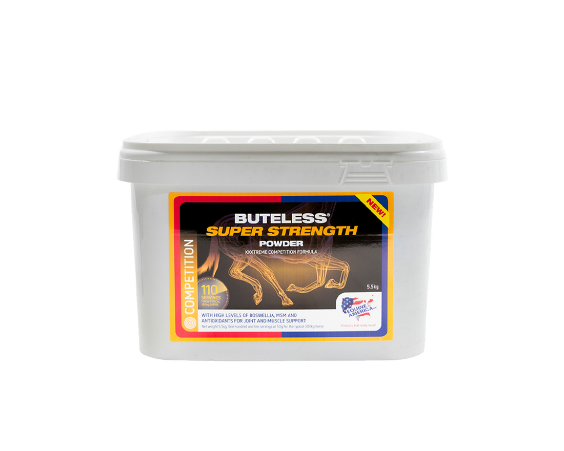 Buteless Super Strength Powder Equine America