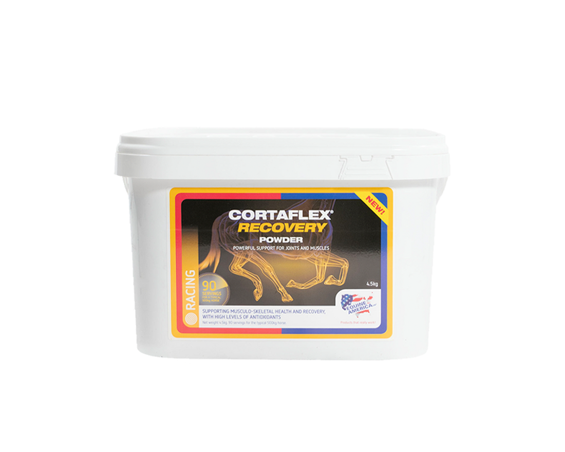 Cortaflex Recovery Powder Equine America