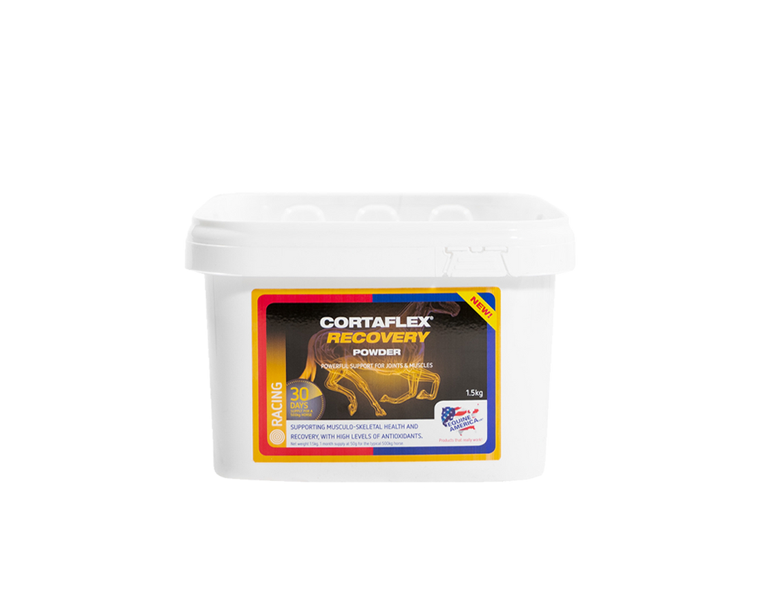 Cortaflex Recovery Powder Equine America