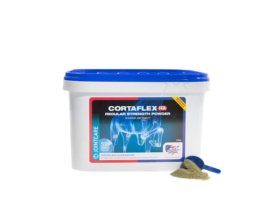 Cortaflex HA Regular Strenght Powder Equine America