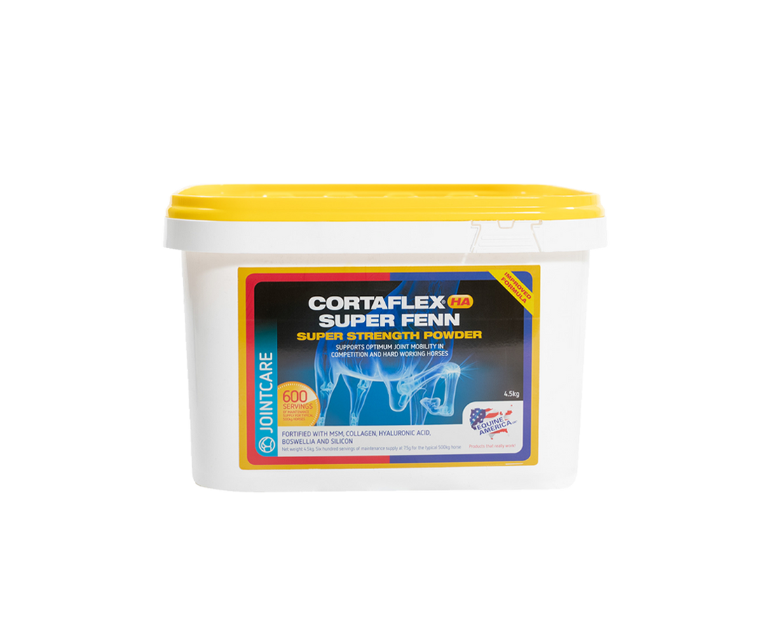 Cortaflex HA Super Fenn Powder Equine America
