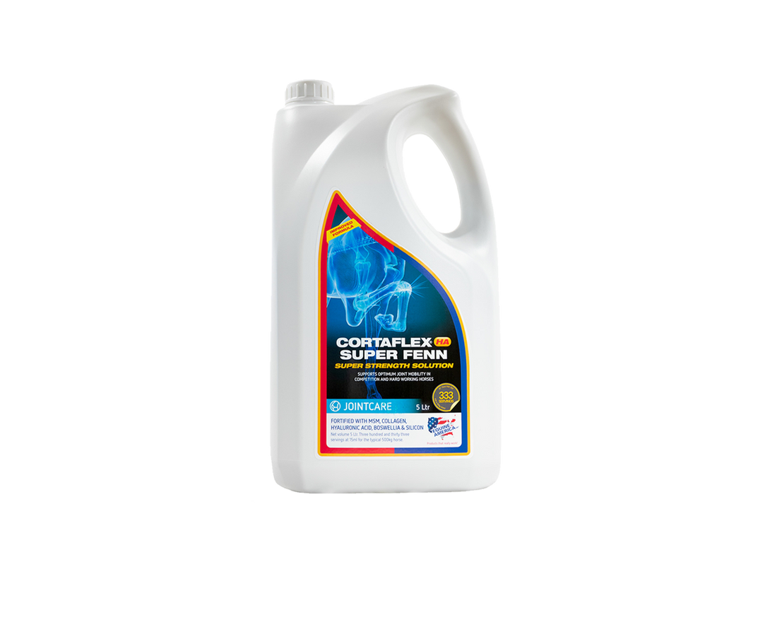 Cortaflex HA Super Fenn Solution