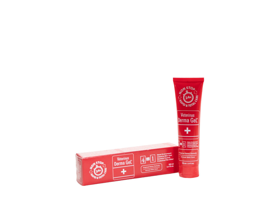 Derma Gel Equine America