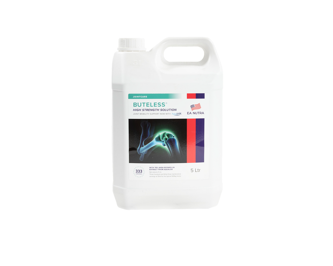 Buteless High Strength Solution Equine America
