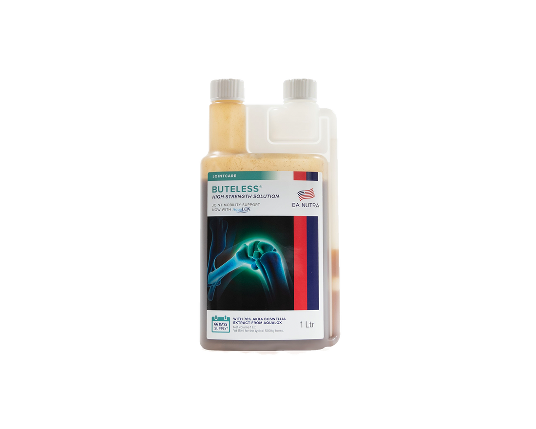 Buteless High Strength Solution Equine America