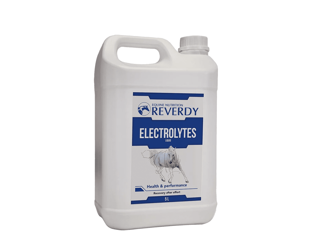 Electrolytes Liquid