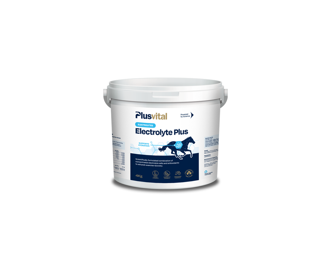 Electrolyte Plus