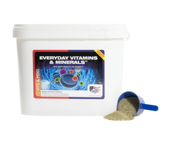 Everyday Vitamin & Mineral