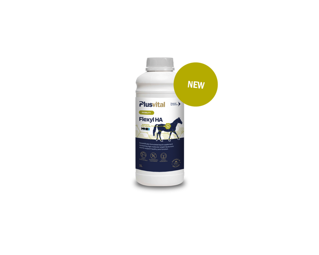 Flexyl HA Plusvital