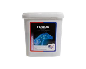 Focus Powder