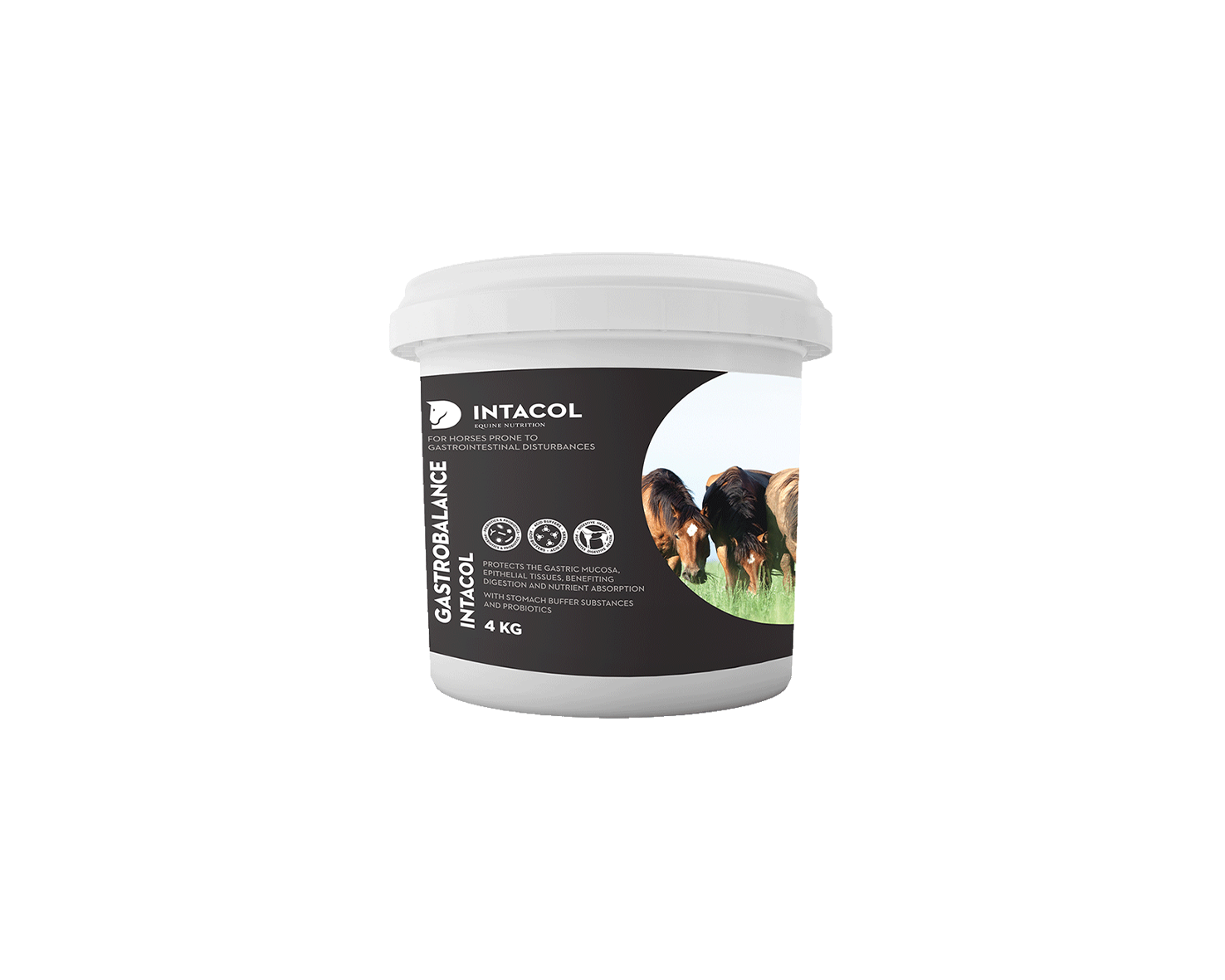 Gastrobalance Intacol