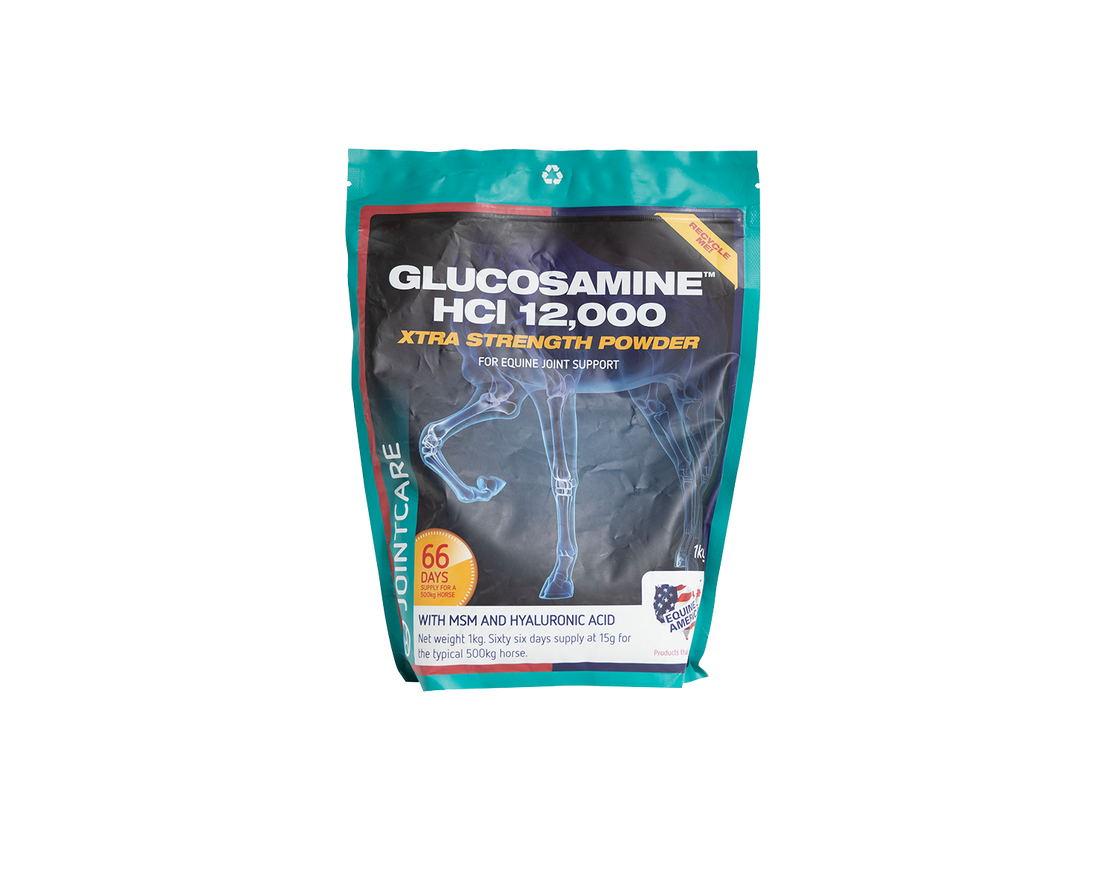 Glucosamine HCI 12000 Equine America