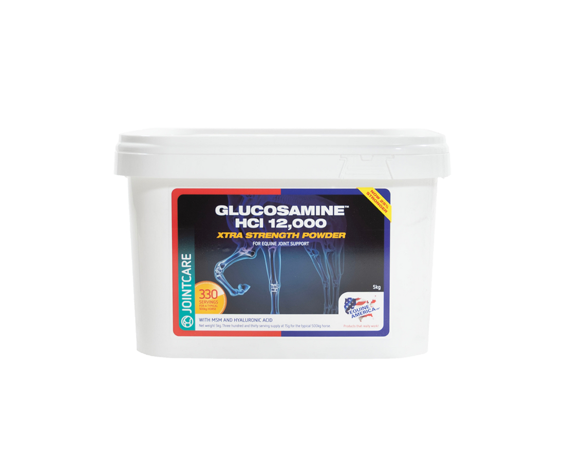 Glucosamine HCI 12000 Equine America