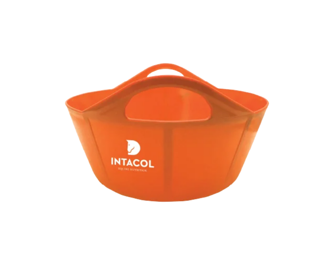 Bucket