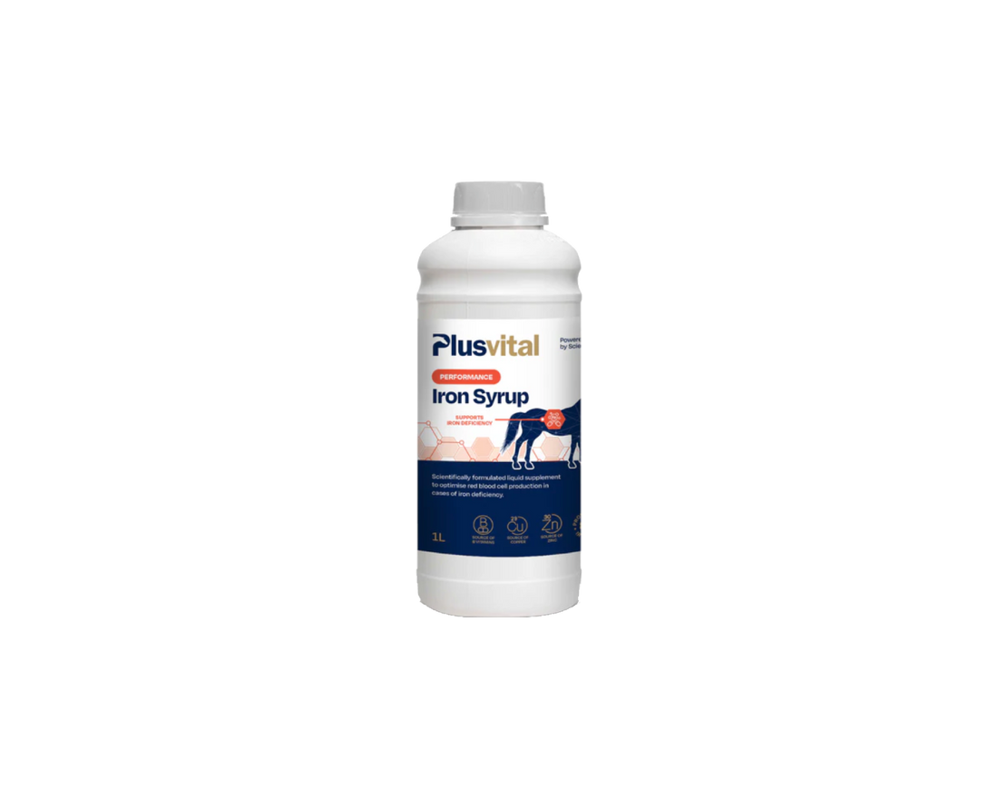 Iron Syrup Plusvital