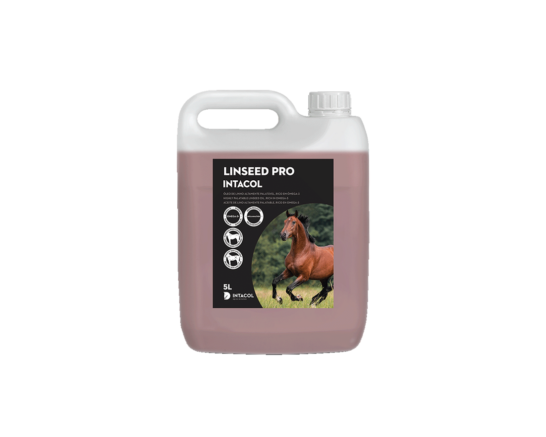 Linseed Pro