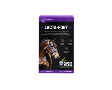 Lacta-Fort