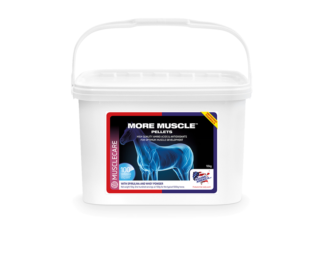More Muscle Pellets