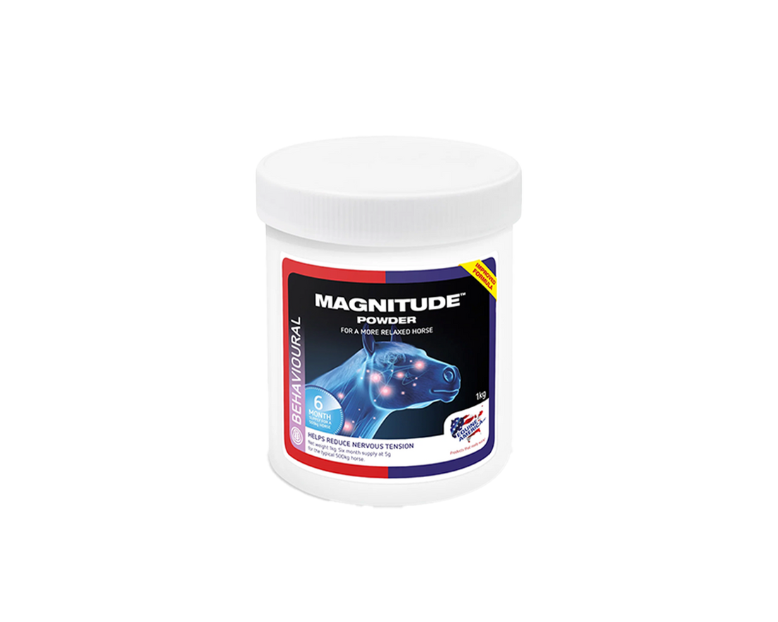 Magnitude Powder Equine America