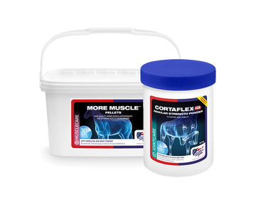 Pack Músculo e Articulações