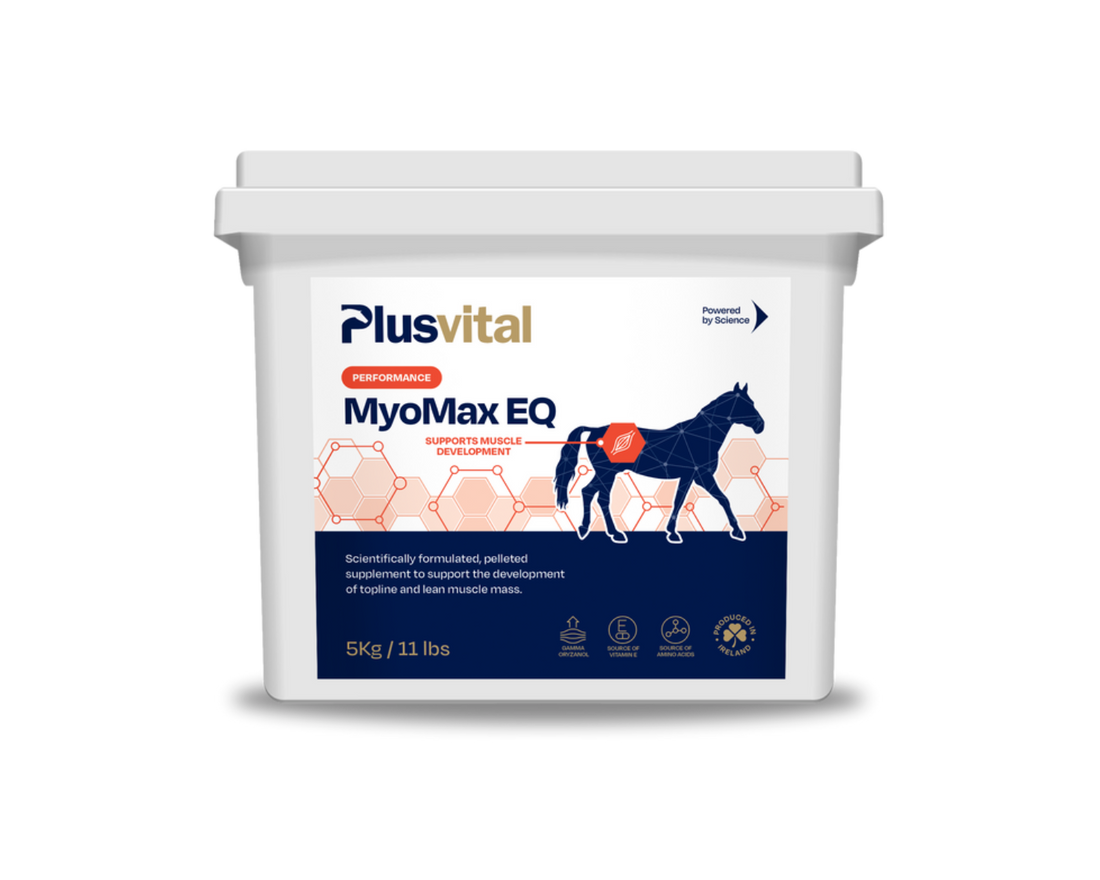 MyoMax EQ