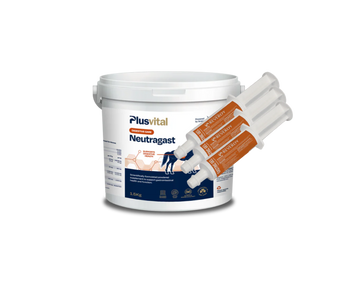 Pack Conforto Gástrico