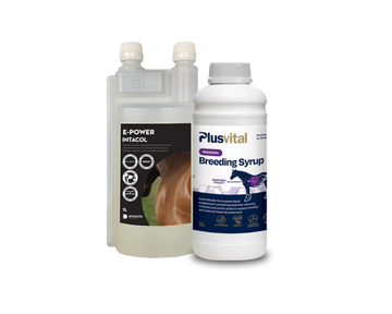 Pack Éguas Reprodutoras