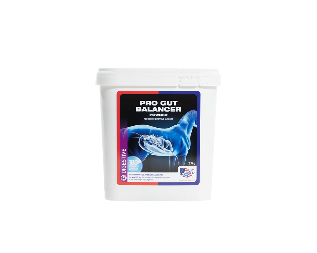 Pro Gut Balancer Powder Equine America