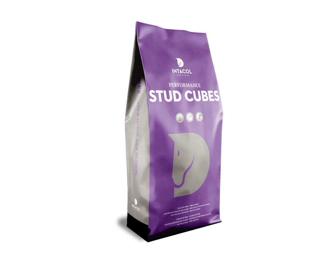 Stud Cubes Intacol