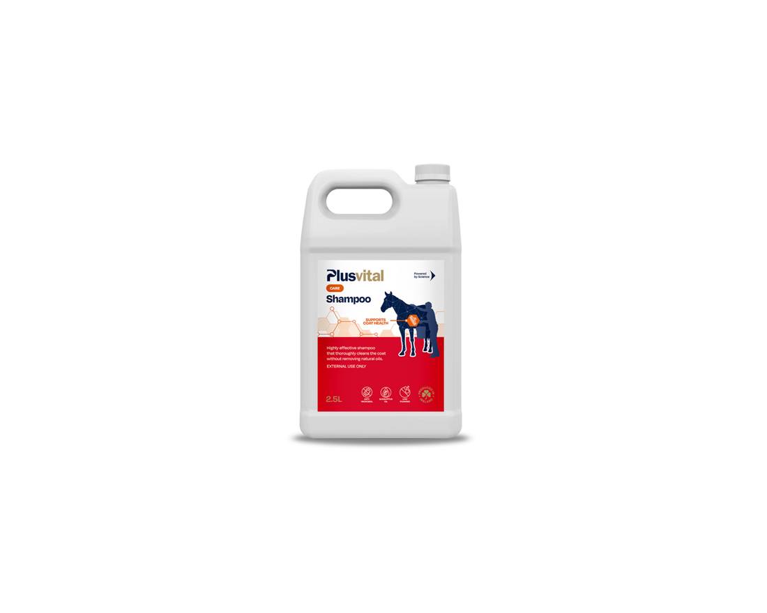 Shampoo Plusvital