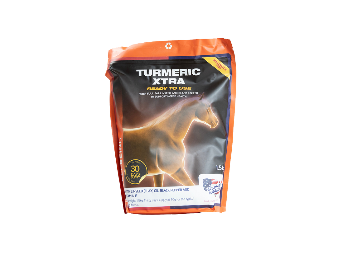 Turmeric Xtra Equine America