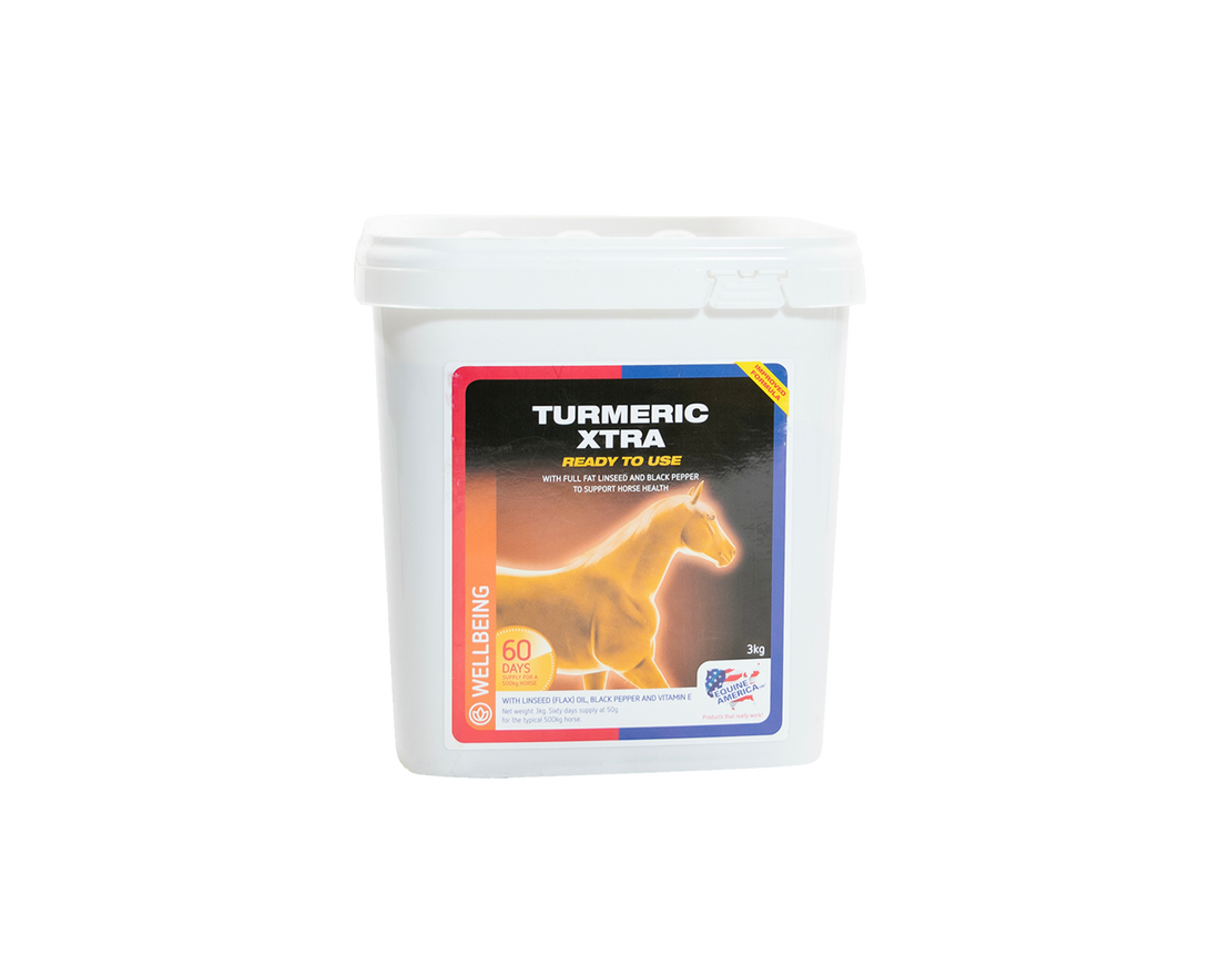 Turmeric Xtra Equine America